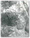 Рис. 5. Помещение 1-31. Фрагмент росписи &laquo;Дама с гирляндой&raquo; Расчистка тыльной стороны в процессе полевой консервации. Очень хорошо видны локальные утраты ганчевого грунта: вверху, под изображением лица персонажа грунт и справа &ndash; под &laquo;гирляндой&raquo; - грунт качественный и плотный, в центральной же части &ndash; более тонкий и почти повсеместно утрачен